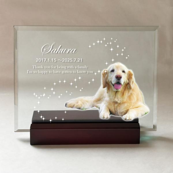 ペット 位牌  きらり星  ペット メモリアル モニュメント ガラス 楯 写真 名入れ オーダーメイ...