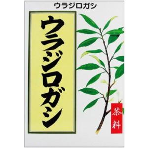 ウラジロガシ 5g×24包 ＊大和合同製薬
