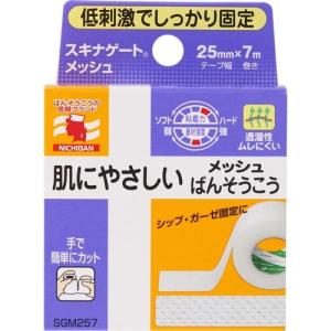 スキナゲートメッシュ 不織布タイプ 2.5cm×...の商品画像