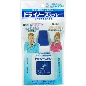 ドライノーズスプレー 20mL ＊日本臓器製薬