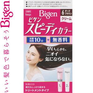 ビゲン スピーディーカラー クリーム 6- ダークブラウン 40g+40g ＊医薬部外品 ホーユー Bigen｜starmall