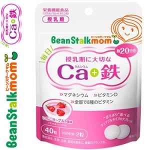 ビーンスタークマム 毎日カルシウム&amp;鉄 40粒 ＊雪印ビーンスターク Bean stalk