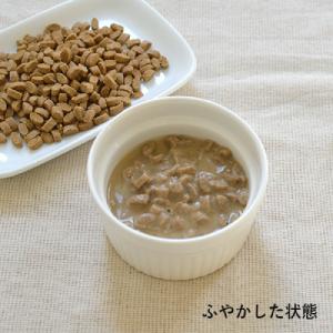 P7倍! YumYumYum! ヤムヤムヤム!...の詳細画像3