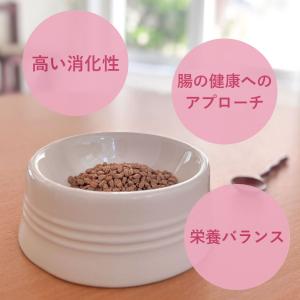 P7倍! YumYumYum! ヤムヤムヤム!...の詳細画像5