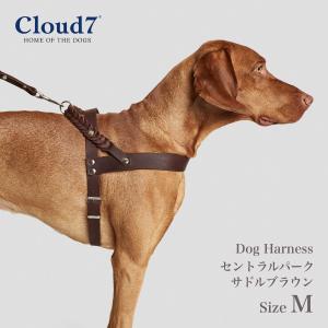 Starry Cloud7 クラウド セブン 海外直輸入アイテム Yahoo ショッピング