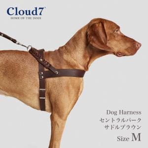 ハーネス 編革 Cloud7　クラウド7 ハーネス セントラルパーク サドルブラウン Mサイズ｜starry