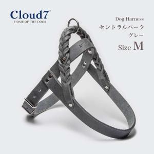 Starry Cloud7 クラウド セブン 海外直輸入アイテム Yahoo ショッピング