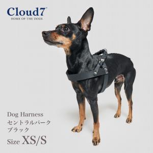ハーネス 編革 Cloud7 クラウド7 ハーネス セントラルパーク ブラック XS/Sサイズ 海外直輸入｜starry