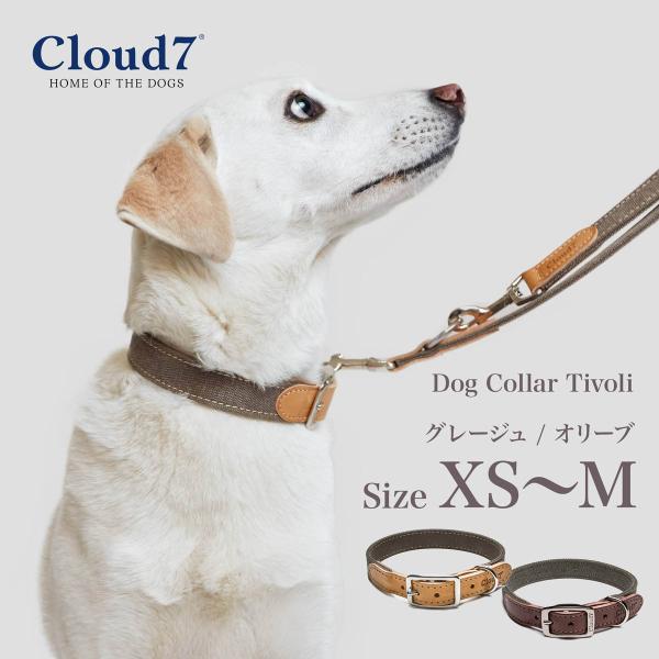 首輪 犬用 革 Cloud7 クラウド7 カラー チボリ グレージュ／オリーブ XS〜Mサイズ Do...
