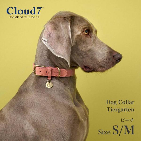 首輪 犬用 革 Cloud7 クラウド7 カラー ティーアガルテン ピーチ S/Mサイズ Dog C...