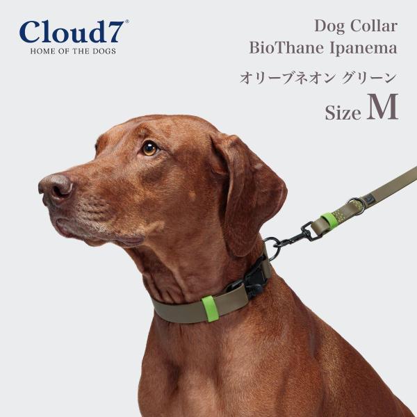 首輪 犬用 Cloud7 クラウド7 カラー ビオタン イパネマ オリーブネオン グリーン Mサイズ...