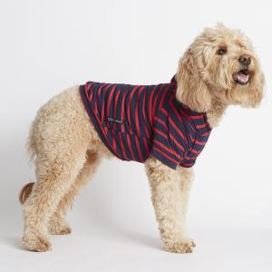 犬用コート Cloud7 クラウド7 アラスカ ミッドナイト 海外直輸入 SIZE4