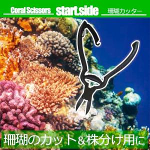 サンゴ 珊瑚 サンゴカッター コーラルカッター アクアリウム ハサミ 黒ブラック｜startside