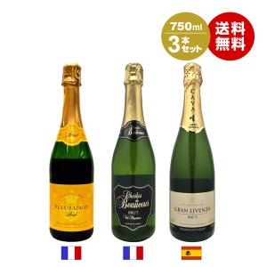 ヘネシー リシャール 700ml 正規品・箱付き（ブランデー・フランス