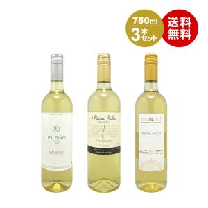 父の日 お中元 ワイン ワインセット 白セット スターリカーズ白ワイン3本セット 750ml×3本 沖縄以外送料無料 福袋 クリスマスワイン｜stary