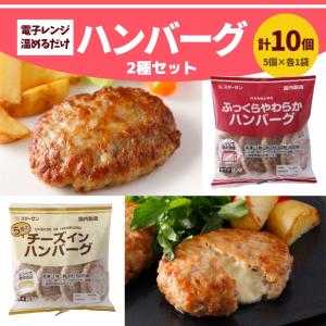 ハンバーグ チーズインハンバーグ 計10個 レンジ調理 おかず 冷凍 宅配 福袋 冷凍食品 温めるだけ 冷凍 大容量 業務用 DELIBURG 仕送り 爆買