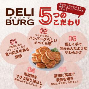 ハンバーグ チーズインハンバーグ 計10個 レ...の詳細画像1