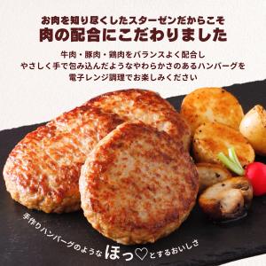 ハンバーグ チーズインハンバーグ 計10個 レ...の詳細画像2