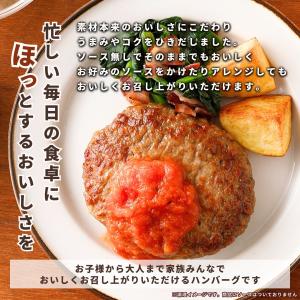 ハンバーグ チーズインハンバーグ 計10個 レ...の詳細画像5