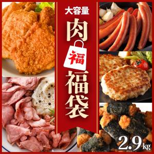福袋 冷凍食品 肉 5種 2.7kg 業務用  大容量 ローストビーフ
