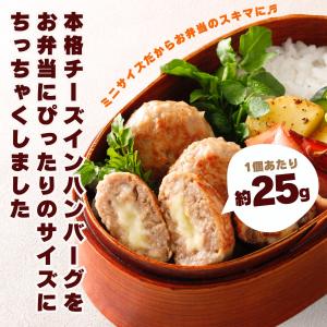 ハンバーグ 冷凍 ミニ チーズインハンバーグ ...の詳細画像1