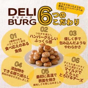 ハンバーグ 冷凍 ミニ チーズインハンバーグ ...の詳細画像2