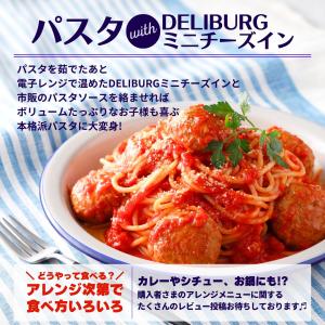ハンバーグ 冷凍 ミニ チーズインハンバーグ ...の詳細画像5
