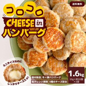 ハンバーグ コロコロ チーズイン ハンバーグ ミニハンバーグ 1.6kg 約64個 業務用 肉 冷凍...