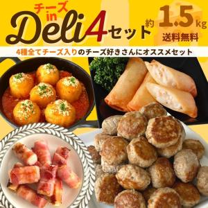 冷凍総菜 チーズ セット 訳あり コロコロ チーズインハンバーグ 春巻 ポテトチーズ ライスコロッケ ベーコン巻 セット 1.5kg以上 送料無料 簡単調理