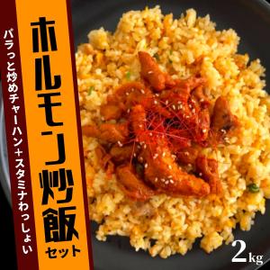 ホルモン炒飯 セット 2.28kg 各2袋 約4人前 ホルモン 炒飯 チャーハン 送料無料 ニチレイ 中華 冷凍 食品 冷凍食品 おうちごはん グルメ 冷凍総菜 グルメ｜starzen-k