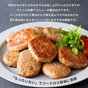 訳あり 焼成 ハンバーグ 冷凍 食品 冷凍食品...の詳細画像2