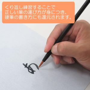 あかしや 水書セット(筆・用紙)[AZ-110...の詳細画像5