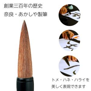 送料無料!あかしや 書初めセット 入門セット ...の詳細画像2