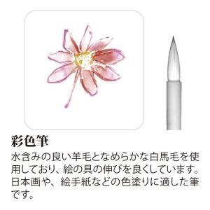 あかしや 彩色筆 大[PN-21] 奈良筆 絵...の詳細画像2