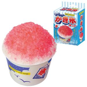 シャリシャリかき氷キット 55451 フェイクスイーツ 食品サンプル 手作りキット 夏祭り