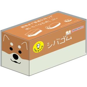 サンスター文具 【メール便220円選択可】シバゴム 8574 ロクイチブング