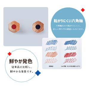 名入れ uni学習 丸つけ用 赤鉛筆 赤青鉛筆...の詳細画像5