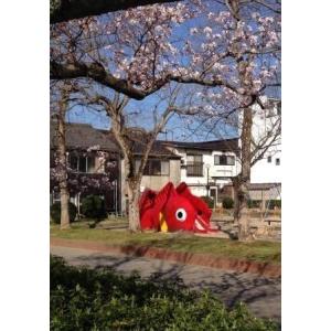セイカのぬりえ きかんしゃトーマス 4620617Dの詳細画像3