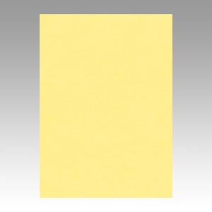 リンテック ニューカラーR 四つ切 4NCR-101 クリーム