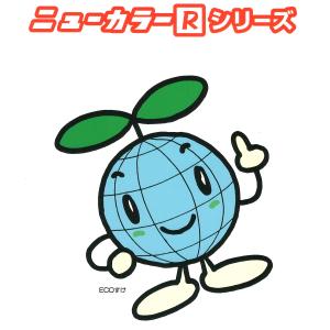 リンテック ニューカラーR 四つ切 4NCR-...の詳細画像4