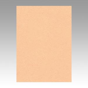 リンテック ニューカラーR 四つ切 4NCR-103 うすだいだい