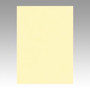 ★リンテック ニューカラーR 四つ切 4NCR-105 うぐいす