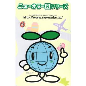 ★リンテック ニューカラーR 四つ切 4NCR...の詳細画像5
