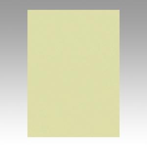 リンテック ニューカラーR 四つ切 4NCR-124 もえぎ