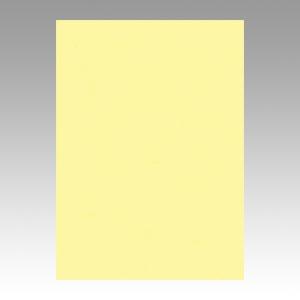 リンテック ニューカラーR 四つ切 4NCR-134 ライトイエロー