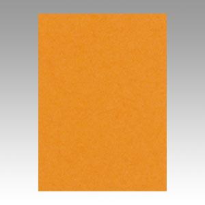 リンテック ニューカラーR 四つ切 4NCR-210 おうどいろ