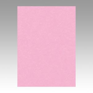 リンテック ニューカラーR 四つ切 4NCR-234 ときいろ