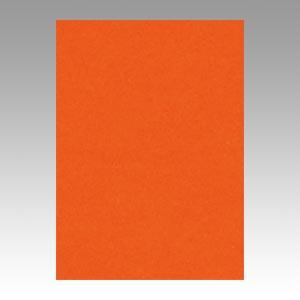 リンテック ニューカラーR 四つ切 4NCR-235 しゅいろ