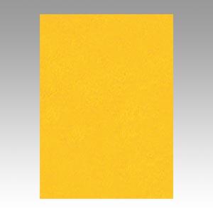 リンテック ニューカラーR 四つ切 4NCR-237 みかん