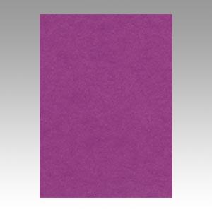 リンテック ニューカラーR 四つ切 4NCR-241 むらさき